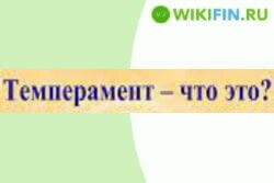 темперамент — что это, его типы, особенности, как определить свой